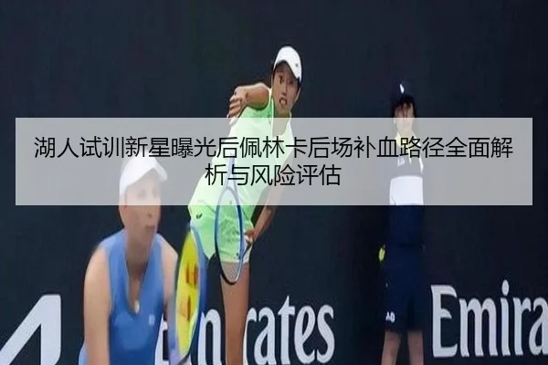 湖人试训新星曝光后佩林卡后场补血路径全面解析与风险评估